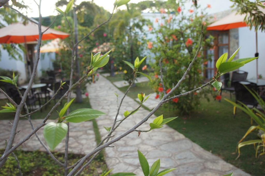 Acacia Tree Garden Hotel Puerto Princesa Exteriér fotografie